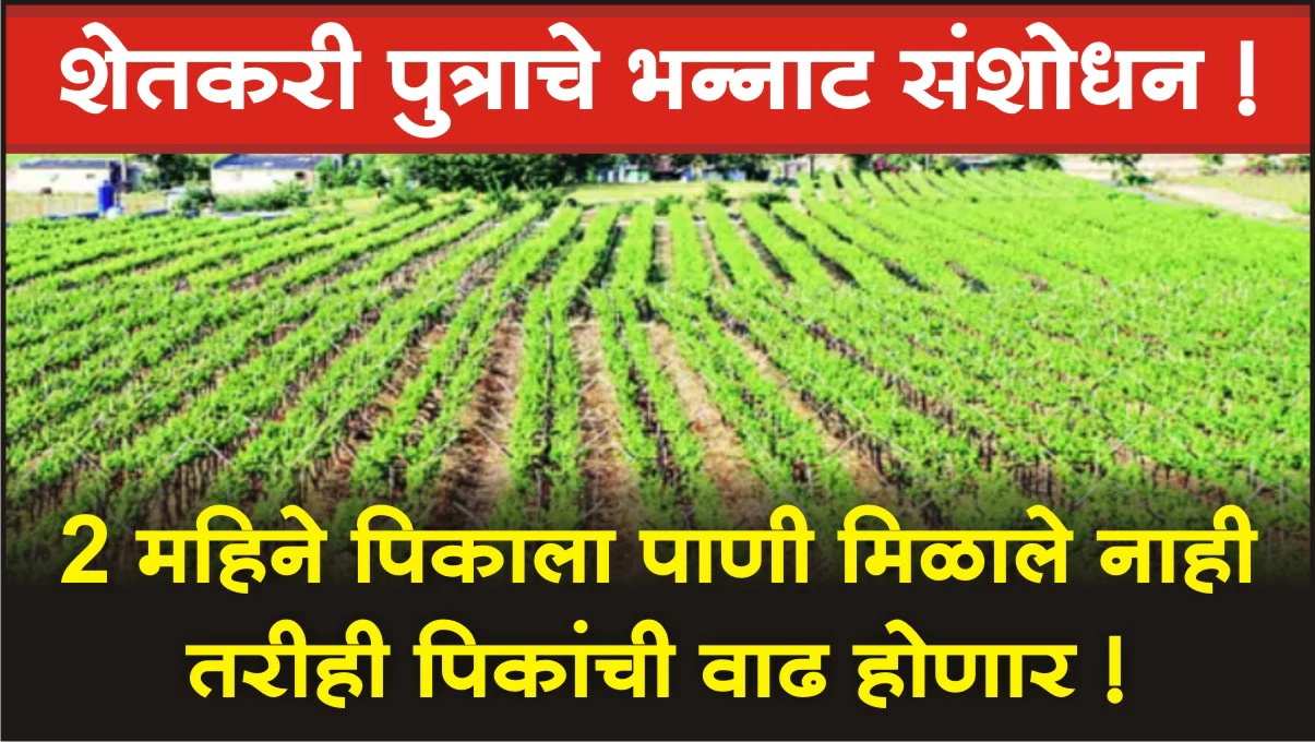 Pawar Formula for Crops 2